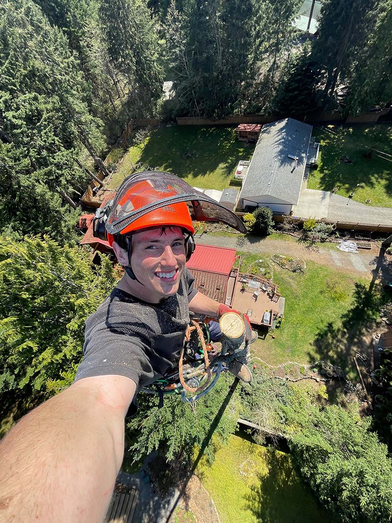 Tree Removal Service Nanaimo