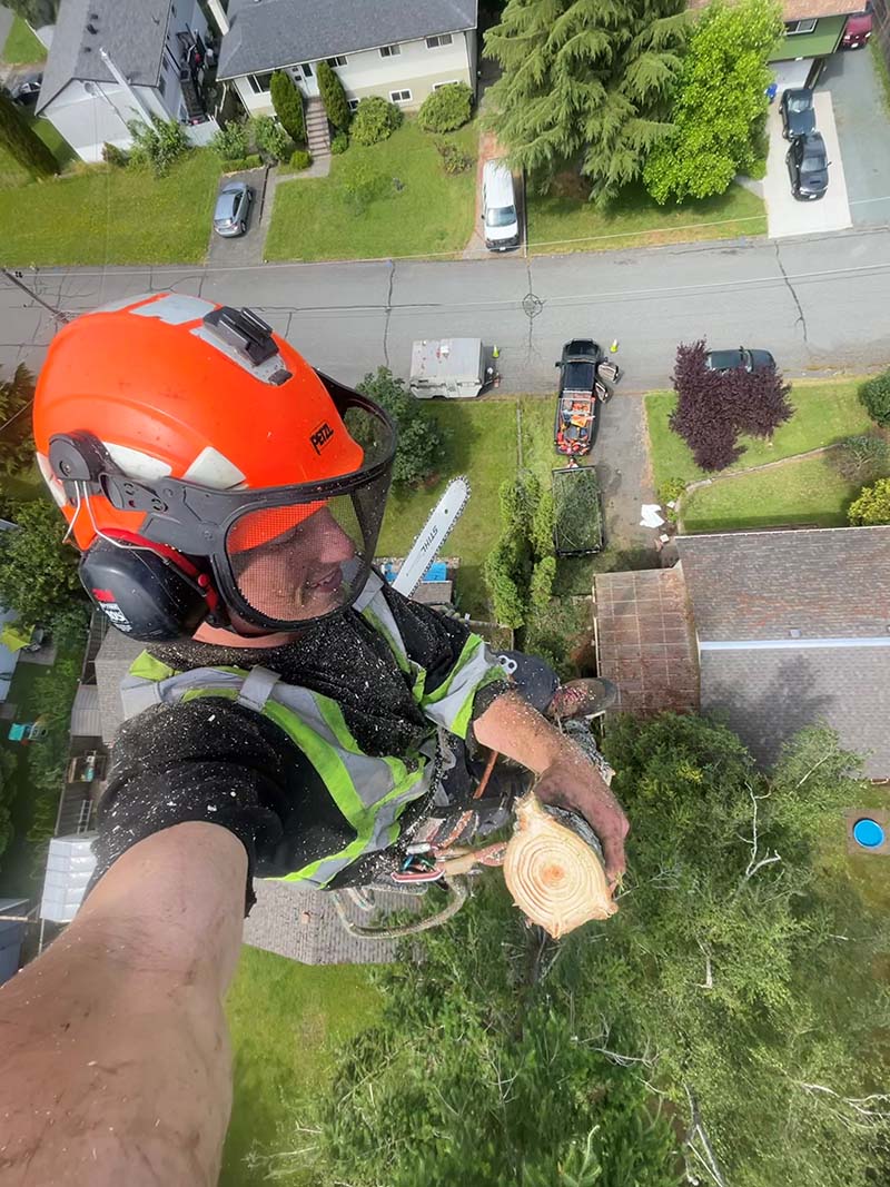 Danger Tree Removal Service Nanaimo Vancouver Island